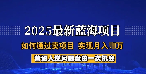 2025蓝海项目,普通人如何通过卖项目,实现月入过W,全过程【揭秘】-水滴知识网
