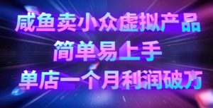 咸鱼卖小众虚拟产品，简单易上手，单店一个月利润破W-水滴知识网