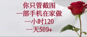 你只管截图，一部手机在家操作，一小时120.一天5张【揭秘】-水滴知识网