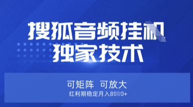 【搜狐音频挂G】独家技术,可矩阵可放大,红利期稳定月入8k【揭秘】-水滴知识网