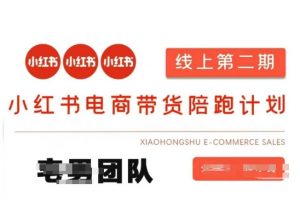 小红书电商带货课2期，月利润20个的小红书电商的有货源，无货源，虚拟产品，付费投流等整套玩法-水滴知识网