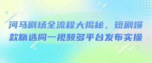 河马剧场全流程大揭秘，短剧爆款精选同一视频多平台发布实操-水滴知识网