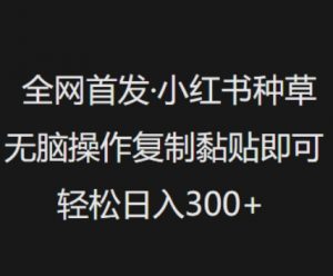 全网首发,小红书种草无脑操作,复制黏贴即可,轻松日入3张-水滴知识网