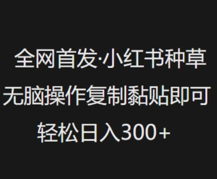 全网首发,小红书种草无脑操作,复制黏贴即可,轻松日入3张-水滴知识网