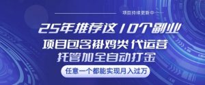 25年推荐这10个副业项目包含褂鸡类、代运营托管类、全自动打金类【揭秘】-水滴知识网
