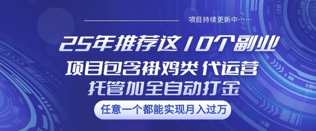 25年推荐这10个副业项目包含褂鸡类、代运营托管类、全自动打金类【揭秘】-水滴知识网