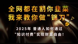 全网都在割你韭菜，我来教你做镰刀,2025普通人如何通过知识付费，实现财F自由【揭秘】-水滴知识网