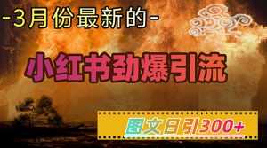 小红书超劲爆引流手段,图文日引300+轻松变现1W-水滴知识网