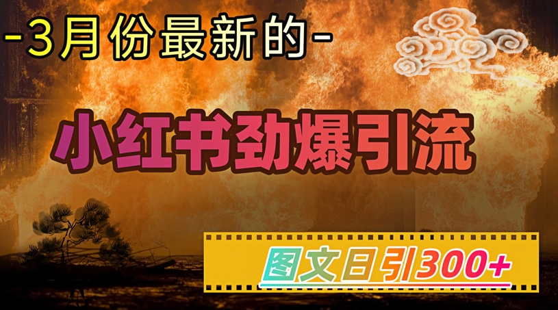 小红书超劲爆引流手段,图文日引300+轻松变现1W-水滴知识网