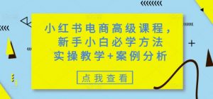 小红书电商高级课程,新手小白必学方法,实操教学+案例分析-水滴知识网