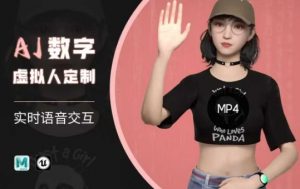 Ai数字人虚拟(智能体)实时语音交互特训营,自行定制超写实角色AI数字人交互技术-水滴知识网