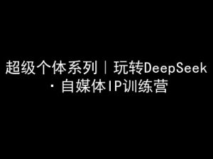 超级个体系列，玩转DeepSeek·自媒体IP训练营，deepseek教程-水滴知识网