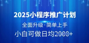 2025小程序推广计划，全面升级，简单上手，日均多张【揭秘】-水滴知识网
