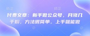 付费文章：新手做公众号，月涨几干粉，方法很简单，上手就能做-水滴知识网