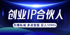 云帆·创业ip合伙人打造3.0,从0到1教你做网创,实现月入过W-水滴知识网