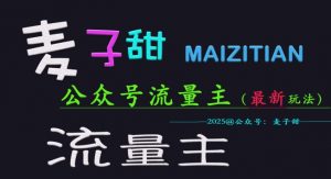 麦子甜2025公众号流量主全网最新玩法核心,手把手教学,成熟稳定,收益有保障-水滴知识网