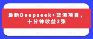 最新Deepseek+蓝海项目，十分钟收益2张-水滴知识网