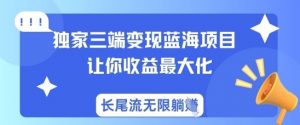 独家三端变现蓝海项目,让你收益最大化,长尾流无限躺挣-水滴知识网