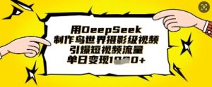 用DeepSeek制作鸟世界摄影级视频,引爆短视频流量,单日变现1k-水滴知识网