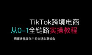 TikTok跨境电商从0-1全链路全方位实操教程，把握多元变化中的全球生意机会-水滴知识网