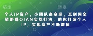 个人IP资产，小团队高变现，互联网全链路赚QIAN实战打法，助你打造个人IP，实现资产不断增值-水滴知识网