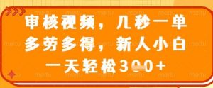 审核视频，几秒一单，多劳多得，新人小白一天轻松3张【揭秘】-水滴知识网