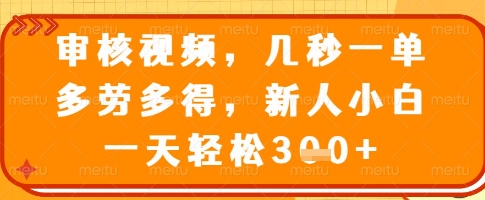 审核视频,几秒一单,多劳多得,新人小白一天轻松3张【揭秘】-水滴知识网
