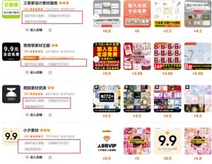 0成本虚拟项目实战手把手教你落地，单店月入5k-水滴知识网