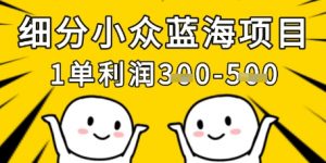 细分小众蓝海项目,一单利润3张,每月收入稳定过1w+-水滴知识网