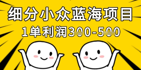 细分小众蓝海项目,一单利润3张,每月收入稳定过1w+-水滴知识网