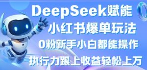 DeepSeek赋能小红书爆单玩法0粉新手小白都能操作，执行力跟上收益轻松上W，懒人勿做-水滴知识网