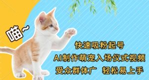 快速吸粉起号，AI制作萌宠入场仪式视频，受众群体广，轻松易上手-水滴知识网