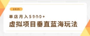 虚拟项目垂直玩法,实现单店月入5k+-水滴知识网