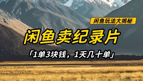闲鱼卖纪录片1单3块钱，1天几十单，项目稳定有潜力-水滴知识网