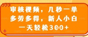 最新审核视频，几秒一单，多劳多得，新人小白一天轻松3张【揭秘】-水滴知识网