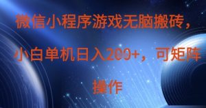微信小程序游戏无脑搬砖,单设备日入2张+,可矩阵操作-水滴知识网