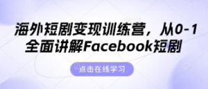 海外短剧变现训练营，从0-1全面讲解Facebook短剧-水滴知识网