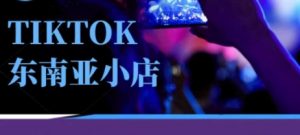 Tiktok东南亚跨境小店运营班,一门专业的TK小店运营培训课-水滴知识网