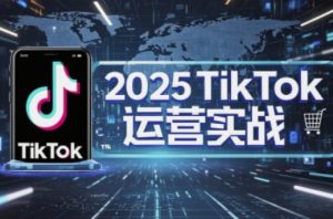 2025TikTok电商运营,掌握TikTok店铺运营核心技巧,实现低成本高转化-水滴知识网