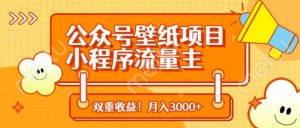 公众号壁纸项目,小程序流量主双收益,月入3000+-水滴知识网