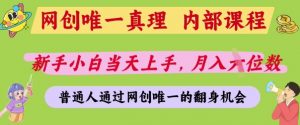 网创唯一真理,内部课程,新手小白当天上手,月入5位数,普通人通过网创唯一的机会【揭秘】-水滴知识网