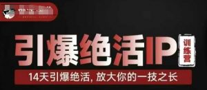 引爆绝活IP训练营,14天引爆绝活,放大你的一技之长-水滴知识网