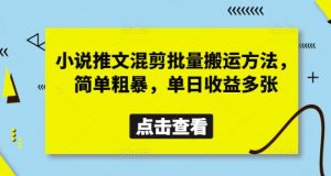 小说推文混剪批量搬运方法，简单粗暴，单日收益多张-水滴知识网