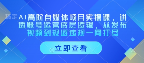 AI高阶自媒体项目实操课,讲透账号运营底层逻辑,从发布视频到规避违规一网打尽-水滴知识网