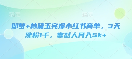 即梦+林黛玉完爆小红书商单,3天涨粉1千,靠怼人月入5k+-水滴知识网