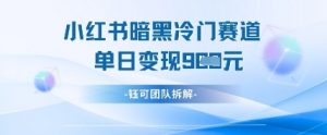 小红书冷门”暗黑”赛道，单日收益多张-水滴知识网