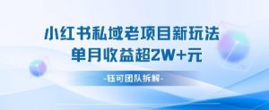 小红书私域项目新玩法，单月变现过W+-水滴知识网