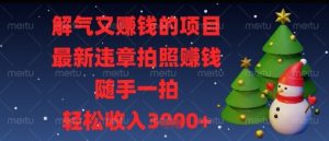 解气又挣钱的项目，最新违章拍照挣钱，随手一拍，轻松收入多张【揭秘】-水滴知识网