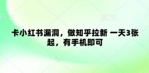 卡小红书漏洞，做知乎拉新 一天3张起，有手机即可-水滴知识网