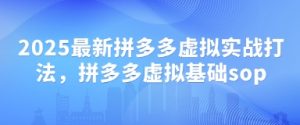 2025最新拼多多虚拟实战打法,拼多多虚拟基础sop-水滴知识网